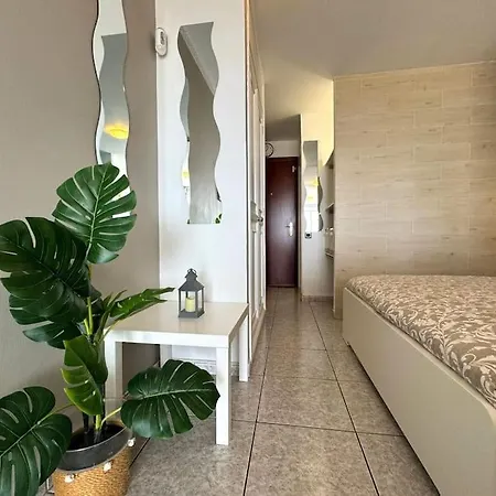 Palm Garden Daire